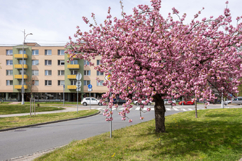 Prodej bytu 3+1 v osobním vlastnictví 73 m², Kroměříž