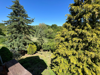 Prodej chaty / chalupy 35 m², Pašinka