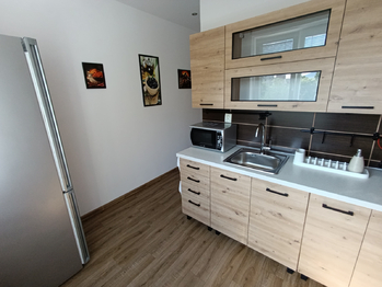 Pronájem bytu 2+1 v družstevním vlastnictví 54 m², Teplice
