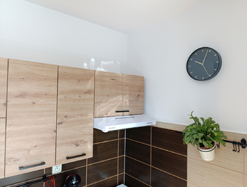 Pronájem bytu 2+1 v družstevním vlastnictví 54 m², Teplice