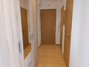 Pronájem bytu 2+1 v družstevním vlastnictví 54 m², Teplice