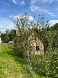 Prodej domu 150 m², Bystrá nad Jizerou