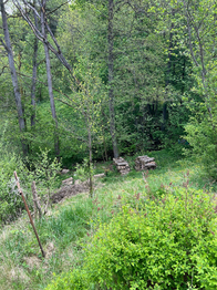Prodej domu 150 m², Bystrá nad Jizerou