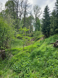 Prodej domu 150 m², Bystrá nad Jizerou