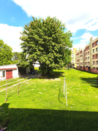 Prodej bytu 3+1 v osobním vlastnictví 68 m², Střížovice