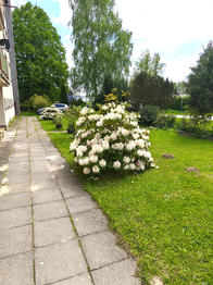 Prodej bytu 3+1 v osobním vlastnictví 68 m², Střížovice