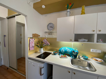 Detail kuchyńské linky - Pronájem bytu 1+kk v osobním vlastnictví 25 m², Praha 10 - Vinohrady