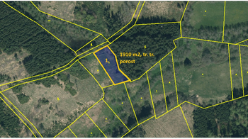 Prodej pozemku 52606 m², Radkov