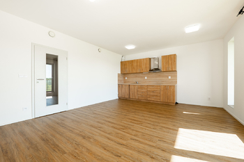 Prodej bytu 1+kk v osobním vlastnictví 60 m², Hluboká nad Vltavou