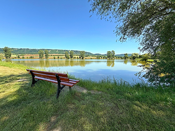 rybník - Prodej domu 183 m², Ronov nad Doubravou