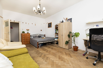 Obývací pokoj - Prodej bytu 2+1 v osobním vlastnictví 48 m², Praha 2 - Vinohrady