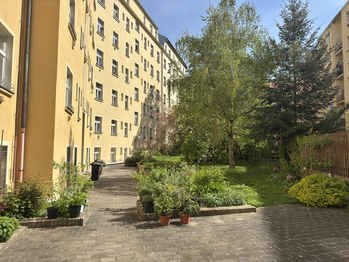 Zahrada ve vnitrobloku - Prodej bytu 2+1 v osobním vlastnictví 48 m², Praha 2 - Vinohrady