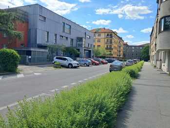 Pronájem, Pardubice