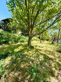Prodej chaty / chalupy 60 m², Postoloprty