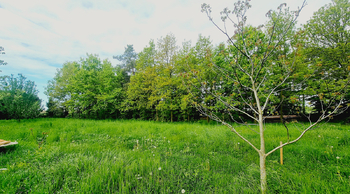 Prodej pozemku 1339 m², Poštovice