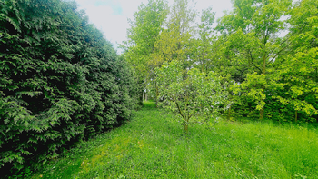 Prodej pozemku 1339 m², Poštovice