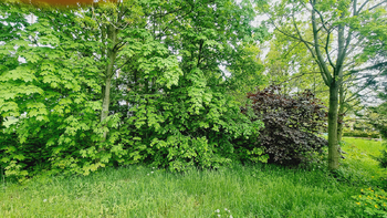 Prodej pozemku 1339 m², Poštovice
