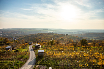 Prodej pozemku 330 m², Mutěnice