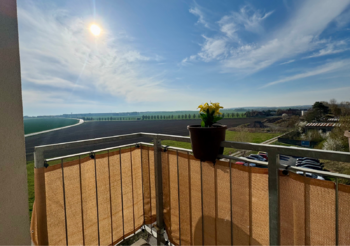 Pronájem bytu 2+kk v osobním vlastnictví 44 m², Klecany
