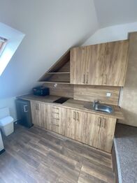 Pronájem bytu 1+kk v osobním vlastnictví 36 m², Chomutov