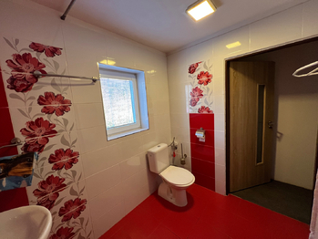 Prodej chaty / chalupy 400 m², Lobendava