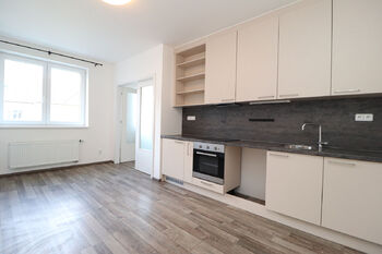 Pronájem bytu 1+1 v osobním vlastnictví 40 m², Praha 4 - Nusle