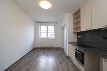 Pronájem bytu 1+1 v osobním vlastnictví 40 m², Praha 4 - Nusle