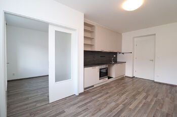 Pronájem bytu 1+1 v osobním vlastnictví 40 m², Praha 4 - Nusle