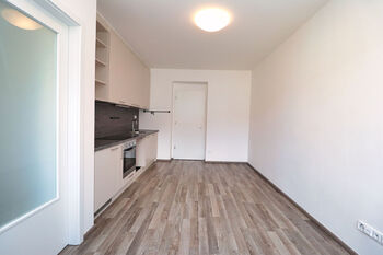 Pronájem bytu 1+1 v osobním vlastnictví 40 m², Praha 4 - Nusle