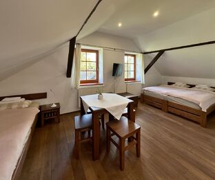 Prodej chaty / chalupy 800 m², Holetín