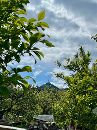 Prodej pozemku 449 m², Liberec