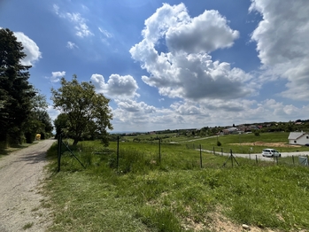 Prodej pozemku 2168 m², Olšany