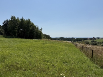 Prodej pozemku 2168 m², Olšany