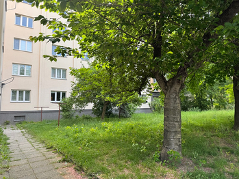 park za domem  - Prodej bytu 2+1 v družstevním vlastnictví 54 m², Praha 10 - Strašnice