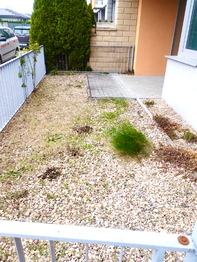 Prodej bytu 1+kk v osobním vlastnictví 39 m², Velký Osek