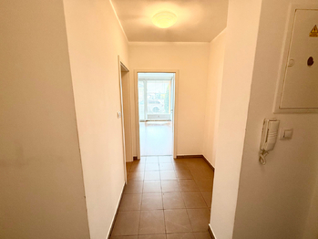 Prodej bytu 1+kk v osobním vlastnictví 39 m², Velký Osek