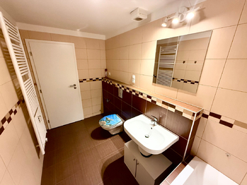 Prodej bytu 1+kk v osobním vlastnictví 39 m², Velký Osek
