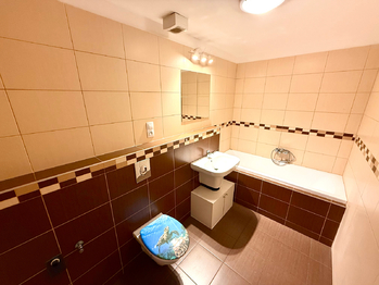 Prodej bytu 1+kk v osobním vlastnictví 39 m², Velký Osek