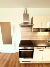 Prodej bytu 1+kk v osobním vlastnictví 39 m², Velký Osek