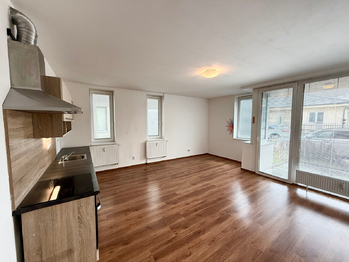 Prodej bytu 1+kk v osobním vlastnictví 39 m², Velký Osek