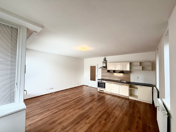 Prodej bytu 1+kk v osobním vlastnictví 39 m², Velký Osek