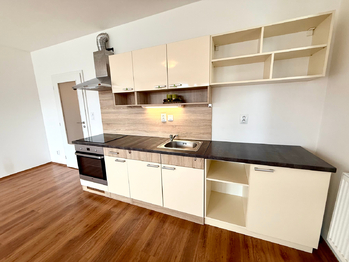 Prodej bytu 1+kk v osobním vlastnictví 39 m², Velký Osek