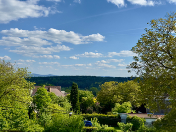 Prodej domu 268 m², Borovany