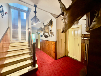Prodej domu 268 m², Borovany