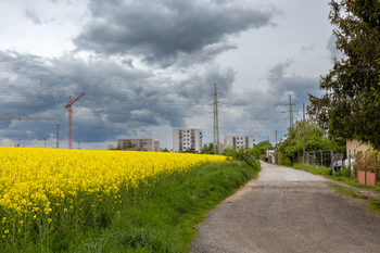 Prodej, Plzeň