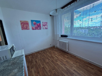 Pronájem v osobním vlastnictví, Uherský Brod