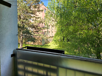 Prodej v osobním vlastnictví, Brno