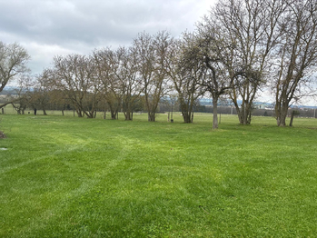 Prodej ubytovacího zařízení 260 m², Mariánské Lázně