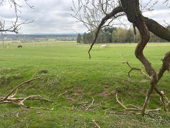 Prodej ubytovacího zařízení 260 m², Mariánské Lázně