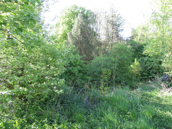 Prodej pozemku 351 m², Kamenná Horka